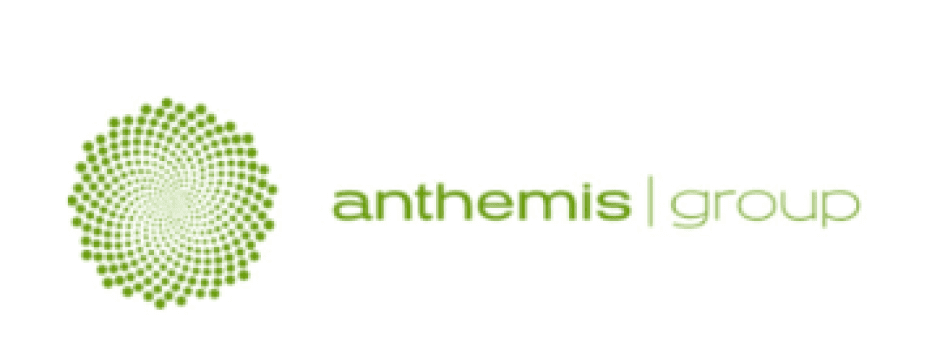 Anthemis